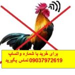 گردنبند ضد صدای خروس دیجی کالا