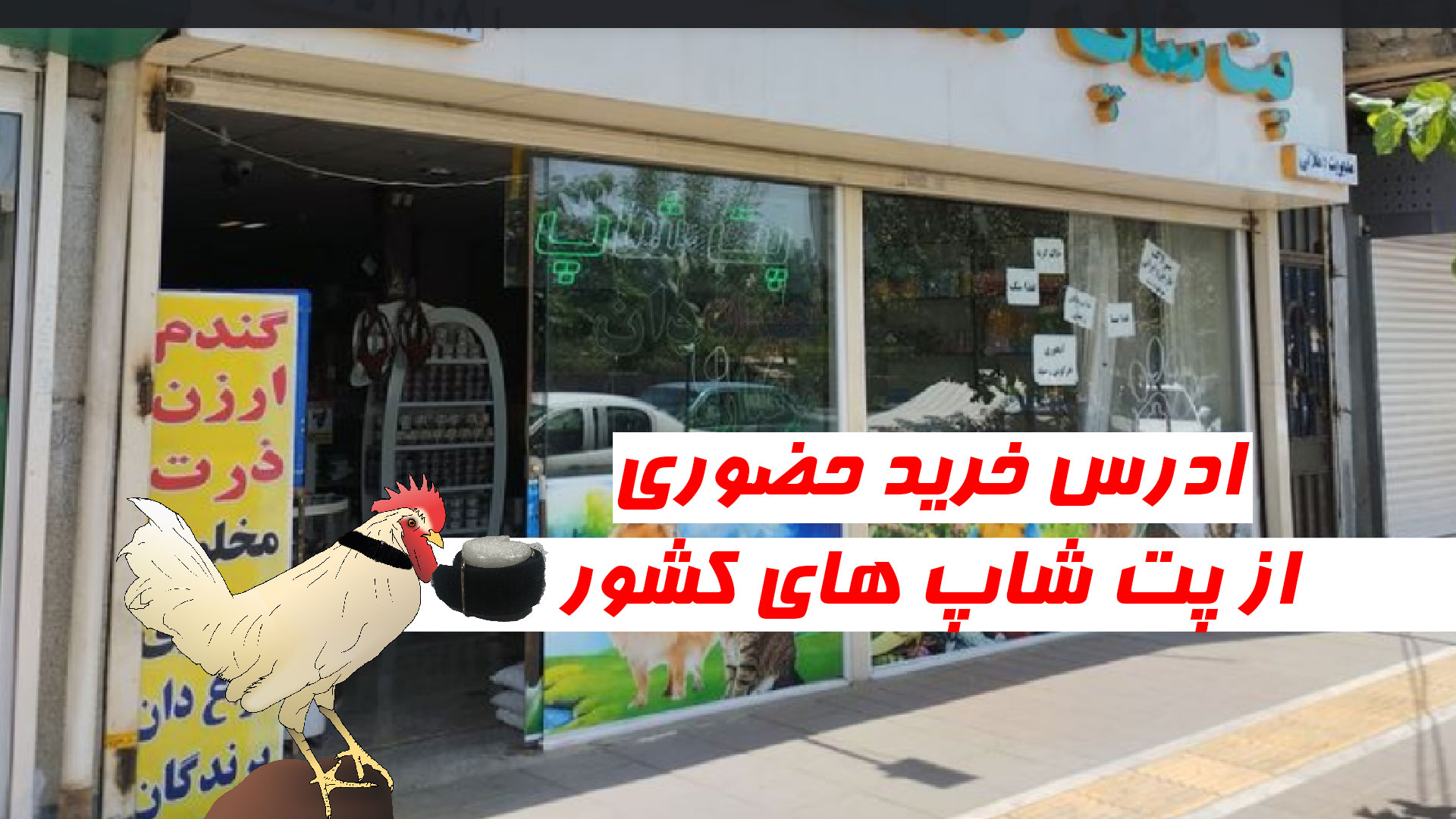 جلوگیری از صدای خروس قیمت و خرید گردنبند