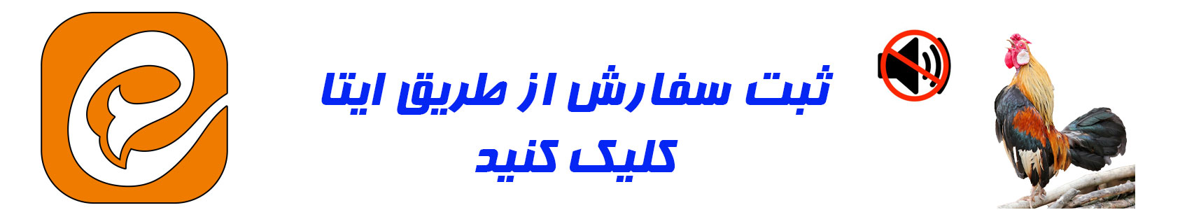 خرید-گردنبند-ضد-صدای-خروس-در-نمایندگی