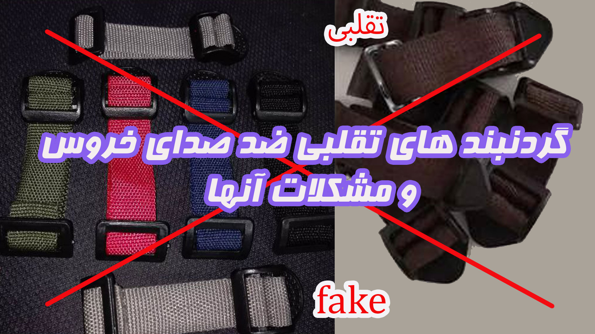 قیمت-گردنبند-ضد-صدای-خروس-محصول-تقلبی-و-فیک 2 قیمت-گردنبند-ضد-صدای-خروس-محصول-تقلبی-و-فیک 2